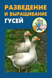 Разведение и выращивание гусей - Илья Валерьевич Мельников, Александр Александрович Ханников
