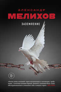 Заземление - Александр Мотельевич Мелихов