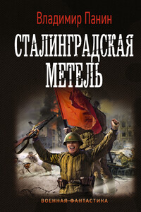 Сталинградская метель - Владимир Панин