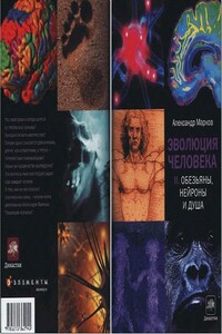 Эволюция человека. Книга 2. Обезьяны, нейроны и душа - Александр Владимирович Марков