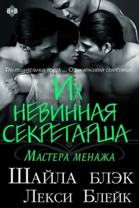 Их невинная секретарша - Шелли Брэдли, Лекси Блейк