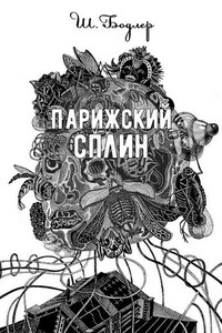 Парижский сплин - Шарль Бодлер