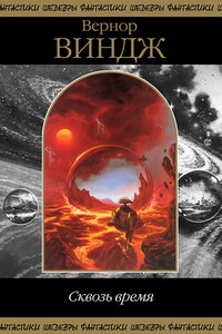 Сквозь реальное время - Уильям Бартон, Вернор Виндж