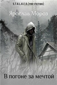 В погоне за мечтой - Ярослав Мороз