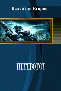 Переворот - Валентин Александрович Егоров