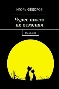 Чудес никто не отменял - Игорь Валентинович Фёдоров