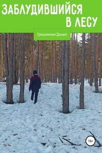 Заблудившийся в лесу - Данил Викторович Грешнихин