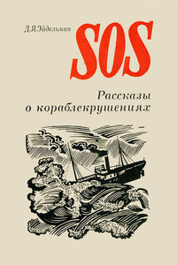 SOS - Давид Яковлевич Эйдельман