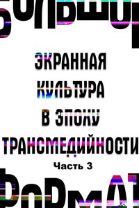 Большой формат: экранная культура в эпоху трансмедийности. Часть 3 - Екатерина Викторовна Сальникова, Анна Алексеевна Новикова