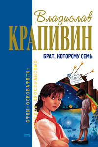 Брат, которому семь - Владислав Петрович Крапивин