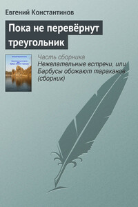 Пока не перевёрнут треугольник - Евгений Михайлович Константинов