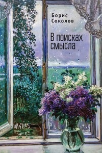 В поисках смысла - Борис Иванович Соколов