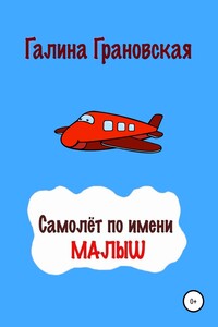 Самолёт по имени Малыш - Галина Ильинична Грановская