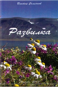 Развилка - Виктор Александрович Соменков