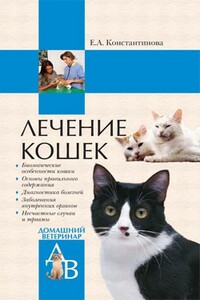 Лечение кошек - Екатерина Александровна Константинова