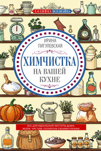 Химчистка на вашей кухне - Ирина Станиславовна Пигулевская