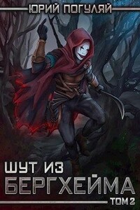 Шут из Бергхейма. Книга вторая - Юрий Александрович Погуляй