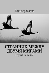 Странник между двумя мирами - Вальтер Флекс