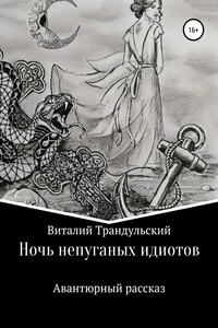 Ночь непуганых идиотов - Виталий Валерьевич Трандульский