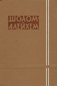 Записки коммивояжера - Шолом-Алейхем