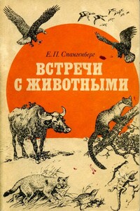 Встречи с животными - Евгений Павлович Спангенберг