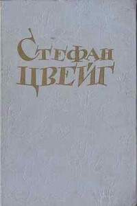 Незримая коллекция - Стефан Цвейг
