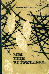 Мы еще встретимся - Аркадий Миронович Минчковский