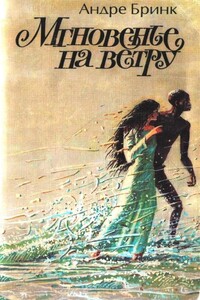 Мгновенье на ветру - Андре Бринк