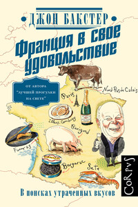 Франция в свое удовольствие. В поисках утраченных вкусов - Джон Бакстер