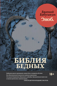 Библия бедных - Евгений Анатольевич Бабушкин
