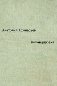 Командировка - Анатолий Владимирович Афанасьев