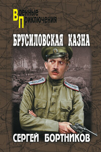 Брусиловская казна - Сергей Иванович Бортников