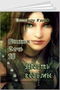 Месть ведьмы - Александр Олегович Гарин