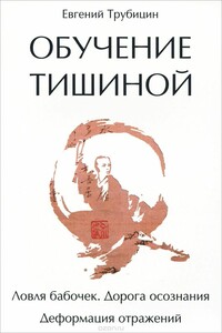Обучение тишиной - Евгений Евгеньевич Трубицин