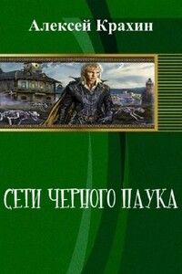 Сети чёрного паука - Алексей Анатольевич Крахин