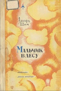 Мальчик в лесу - Эдуард Юрьевич Шим