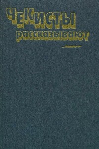 Поединок - Владимир Владимирович Востоков
