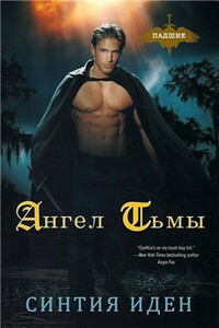 Ангел тьмы - Синтия Иден