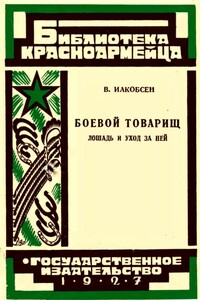 Боевой товарищ - Валентин Людвигович Иакобсен