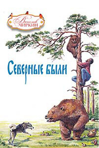 Северные были (сборник) - Вячеслав Павлович Чиркин