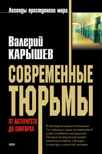 Современные тюрьмы. От авторитета до олигарха - Валерий Михайлович Карышев