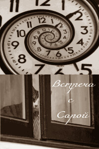 Встреча с Сарой - Энди Уир