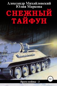 Снежный тайфун - Александр Борисович Михайловский, Юлия Викторовна Маркова
