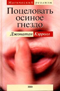 Поцеловать осиное гнездо - Джонатан Кэрролл