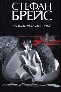 Создатель ангелов - Стефан Брейс