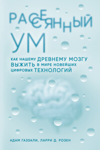 Рассеянный ум - Ларри Д Розен, Адам Газзали