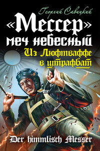 «Мессер» – меч небесный. Из Люфтваффе в штрафбат - Георгий Валерьевич Савицкий