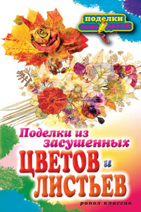 Поделки из засушенных цветов и листьев - Татьяна Федоровна Плотникова