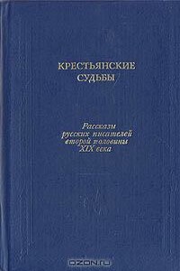 Деревенские нервы - Николай Елпидифорович Каронин-Петропавловский