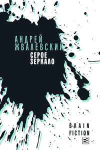 Серое зеркало - Андрей Валентинович Жвалевский